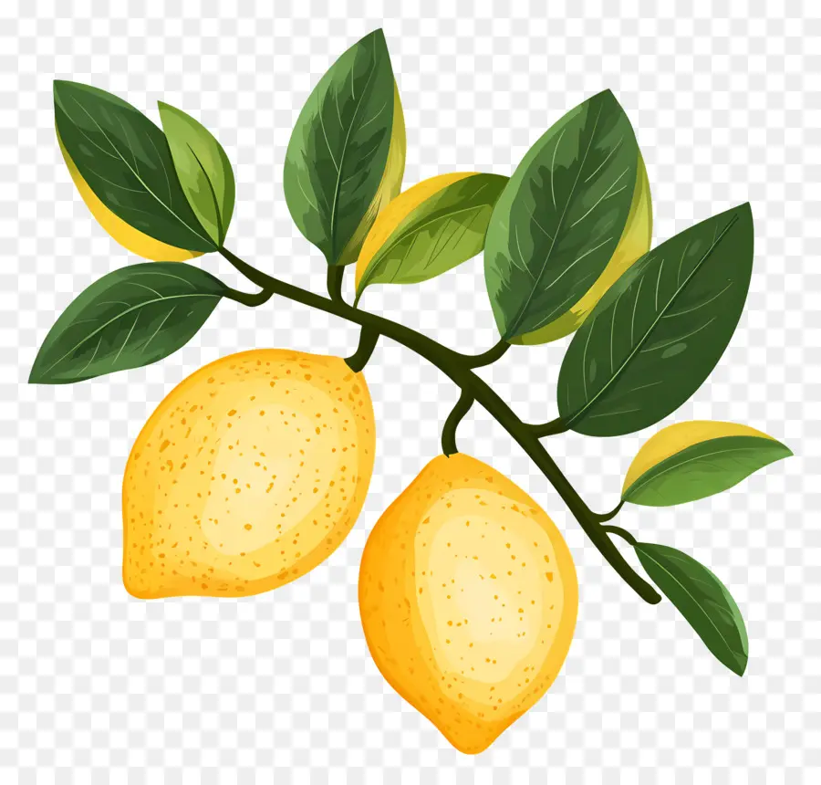 Limón Acuarela，Limones Amarillos PNG