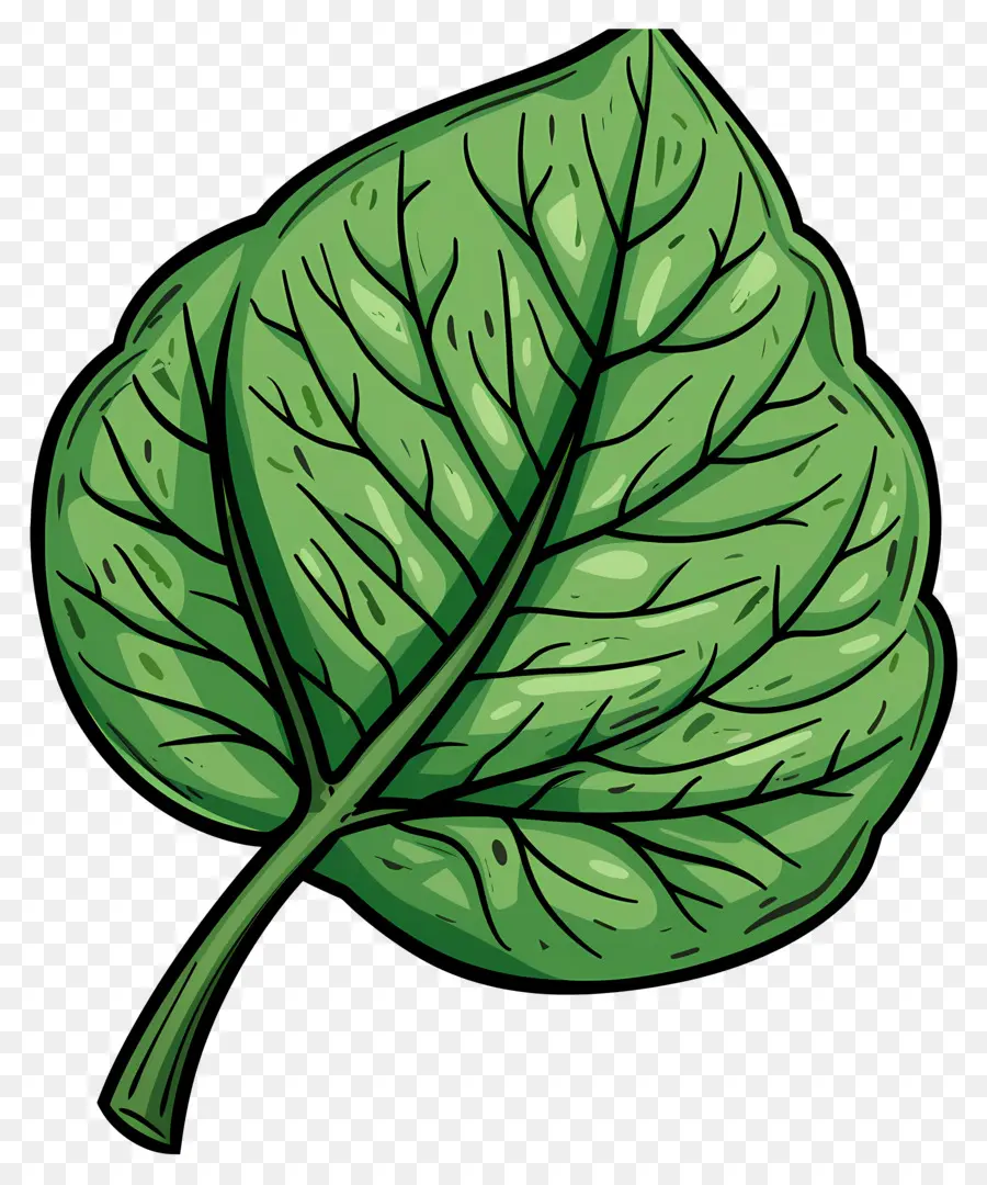 Hoja única，Hojas Verdes PNG