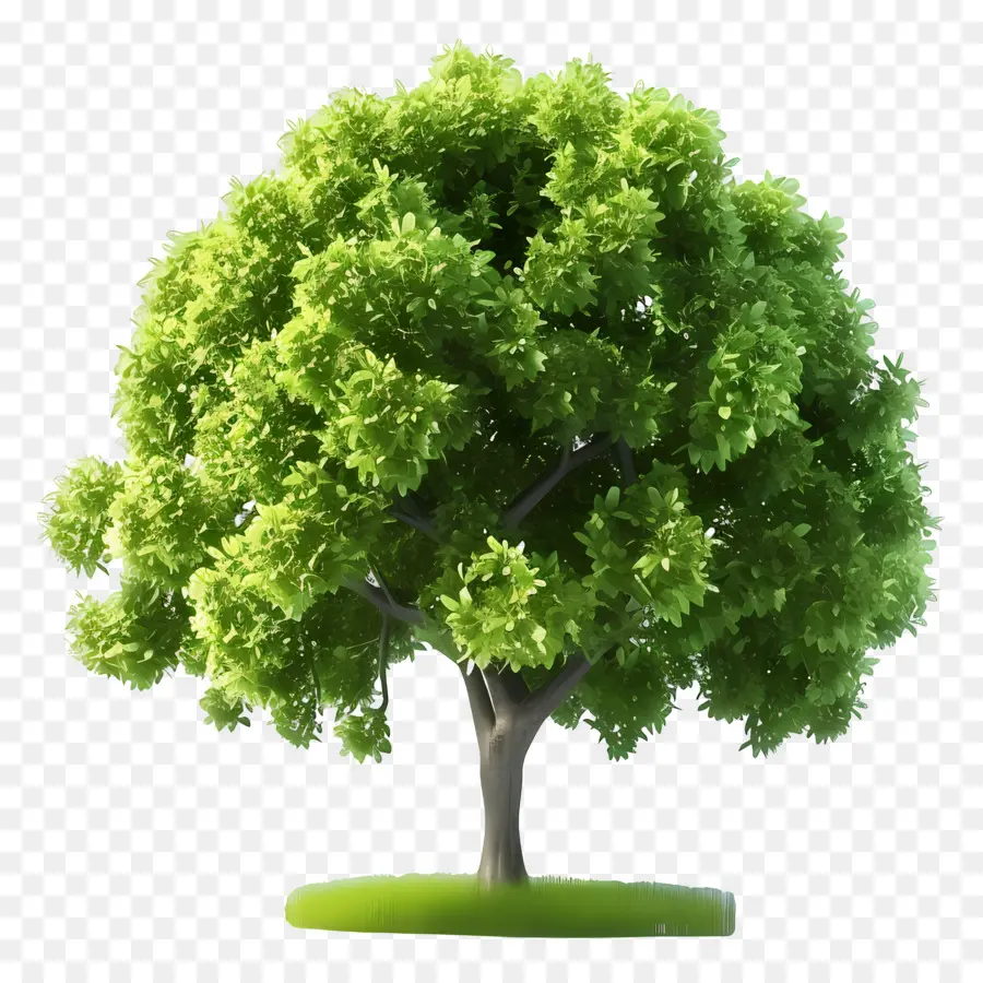 Árbol Animado，árbol Verde PNG