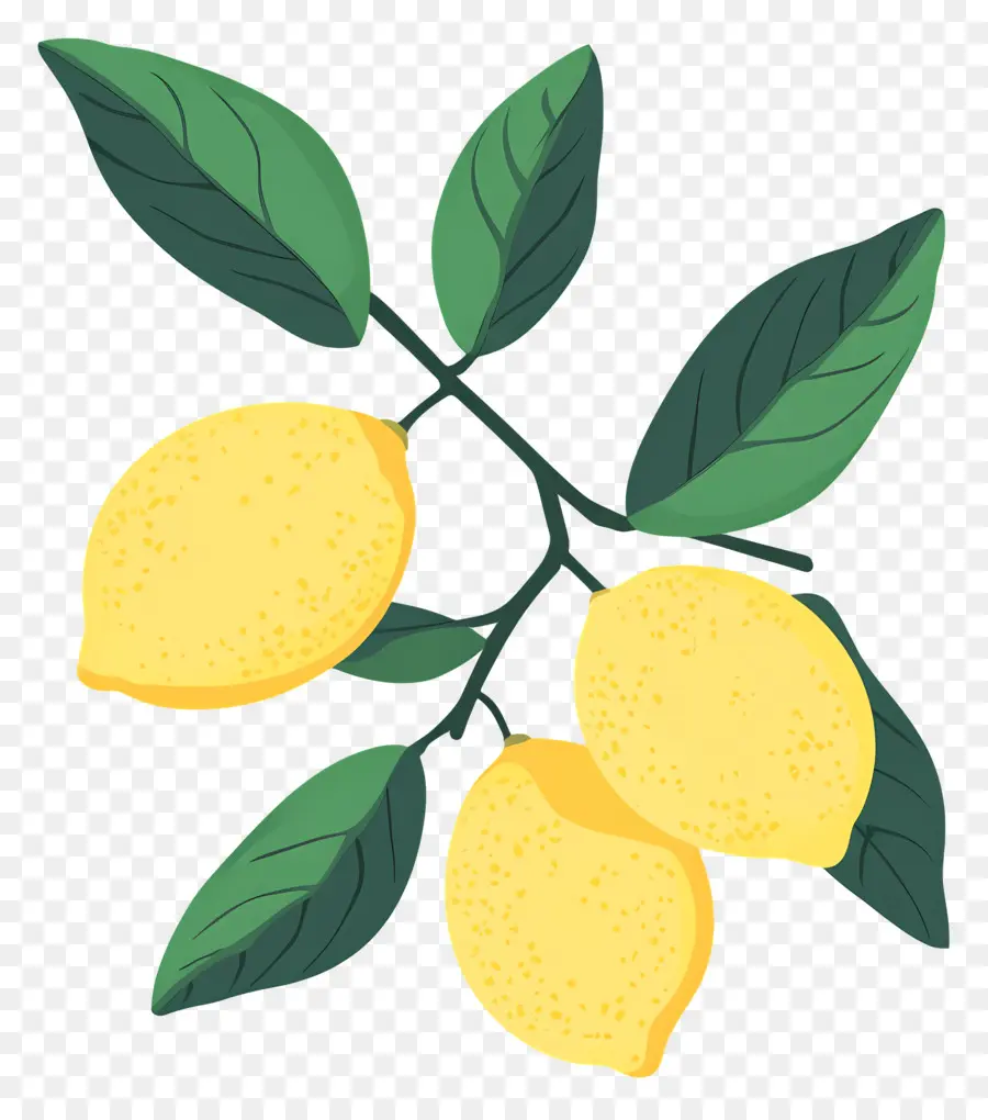 Limón Acuarela，Limones Amarillos PNG