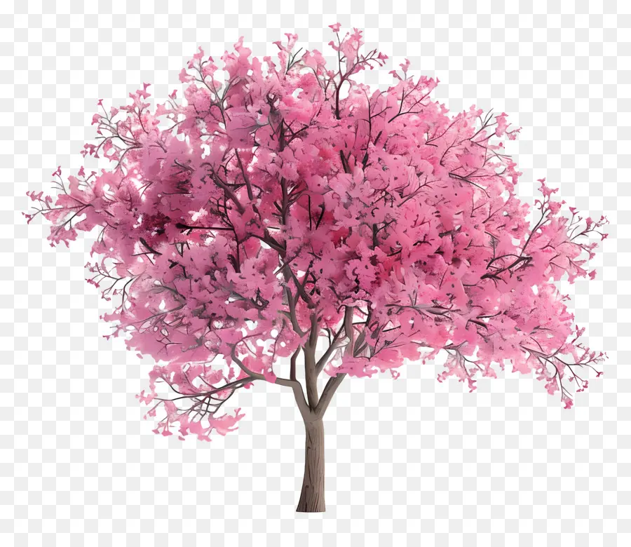 Árbol Animado，árbol Rosa PNG