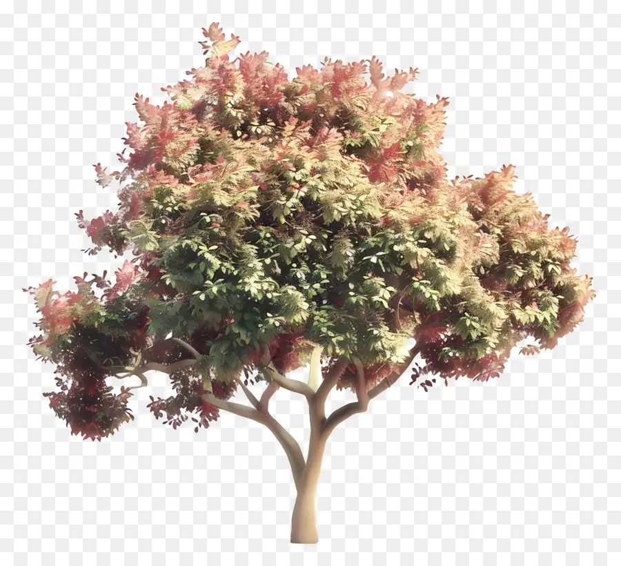 Árbol Animado，árbol Rosa PNG