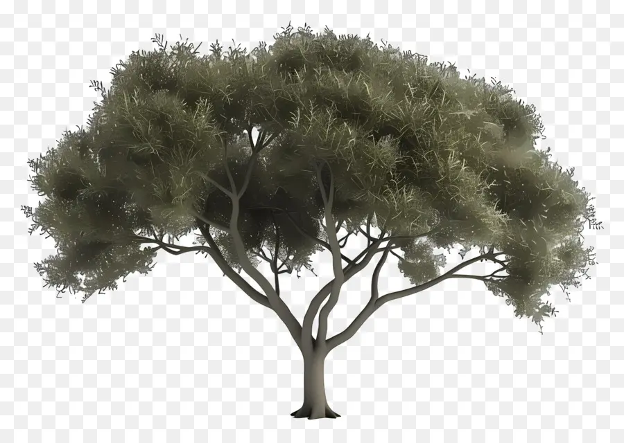 Árbol Animado，árbol PNG