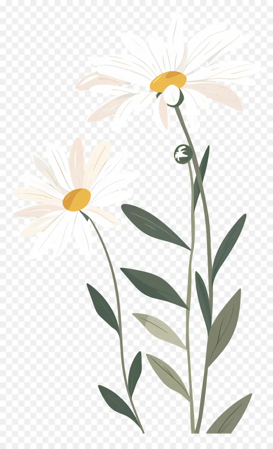 Flores Margarita，Flor Amarilla PNG