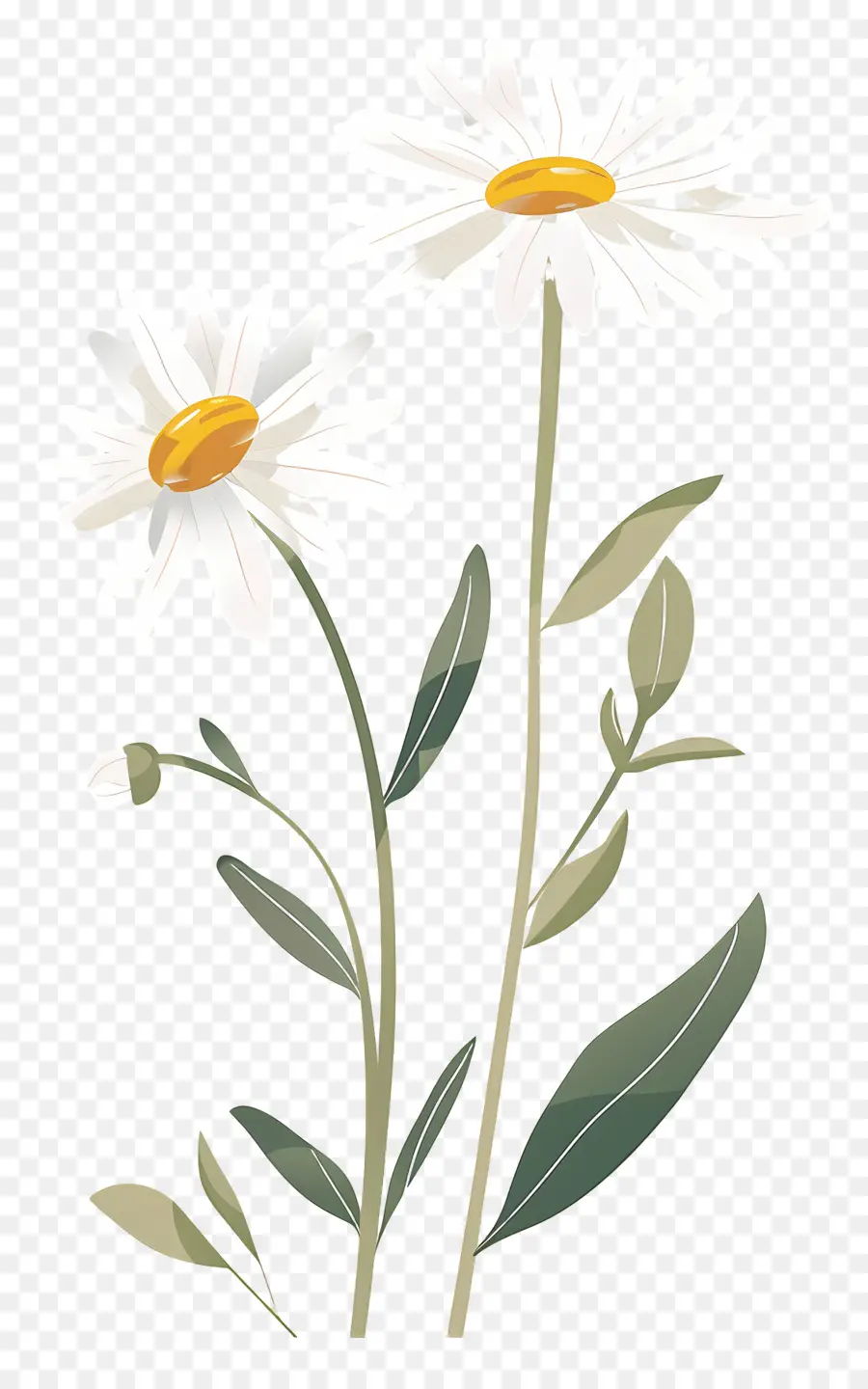 Flores Margarita，Flor Amarilla PNG