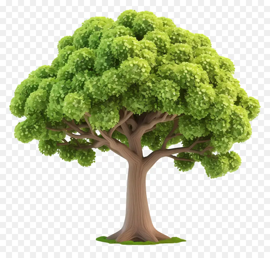 Árbol Animado，árbol Estilizado PNG