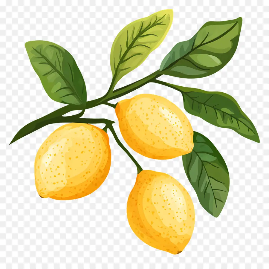 Limón Acuarela，Limones Amarillos PNG