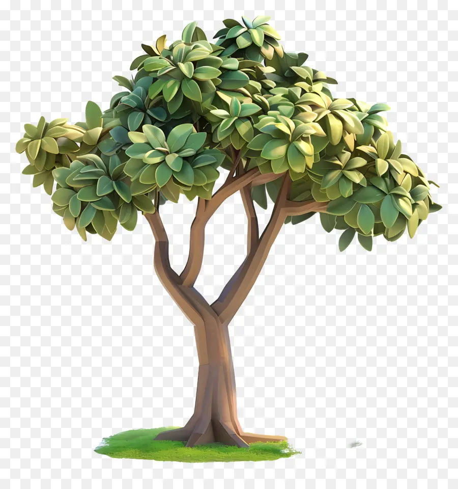 Árbol Animado，árbol Verde PNG