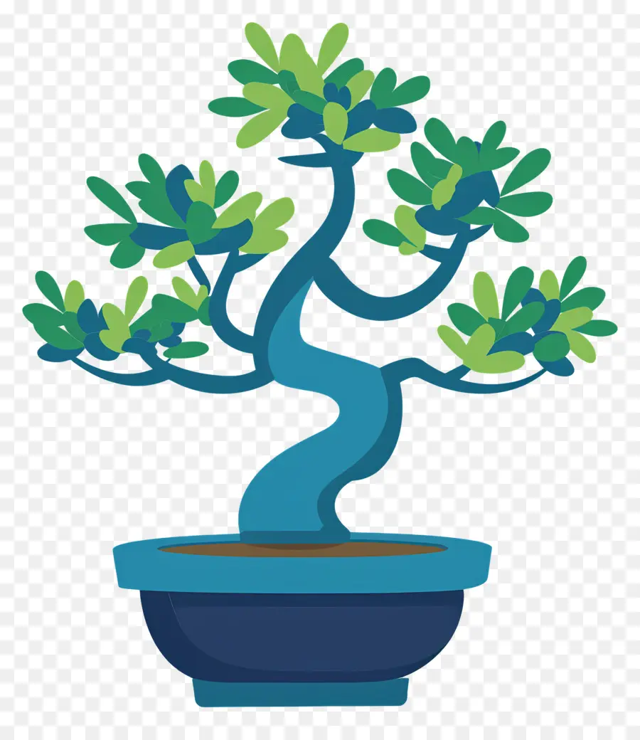 árbol Bonsái，Árbol Bonsái PNG