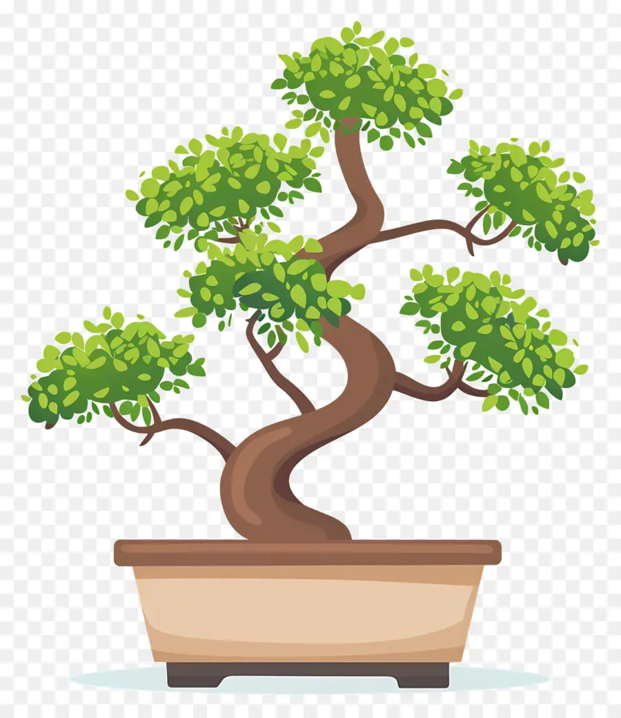 árbol Bonsái，Árbol Bonsái PNG