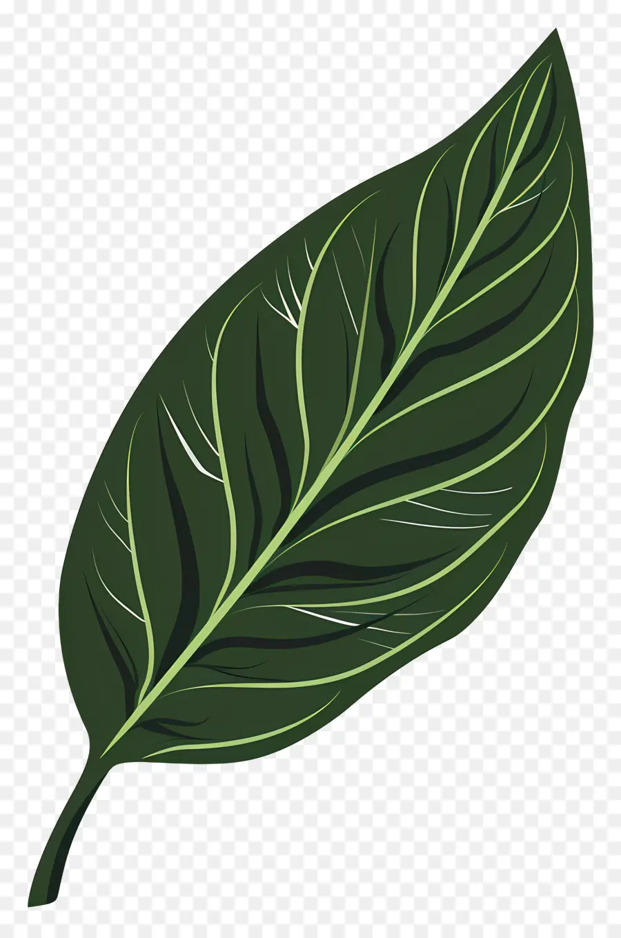 Hoja única，Hoja Verde PNG