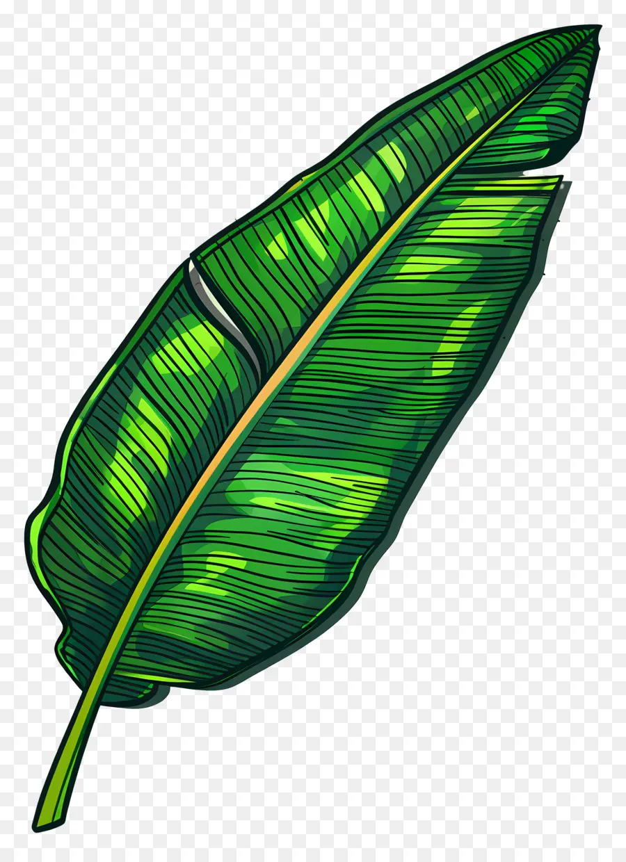 Hoja única，Hojas Verdes PNG