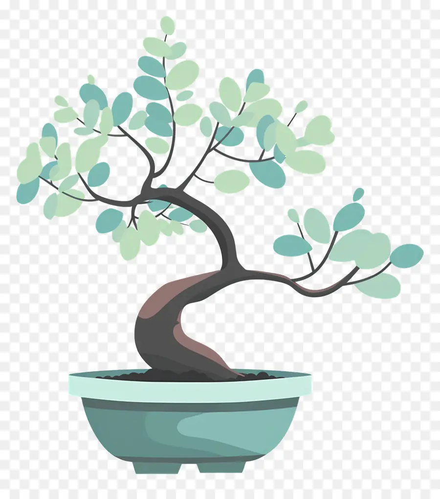 árbol Bonsái，Árbol Bonsái PNG