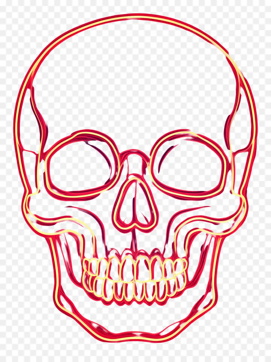 Linea De Neon，Contorno De Calavera Colorida PNG