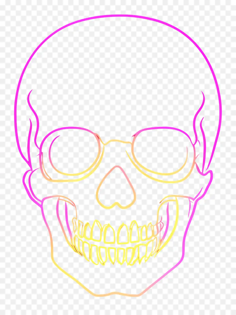 Linea De Neon，Calavera De Neón PNG