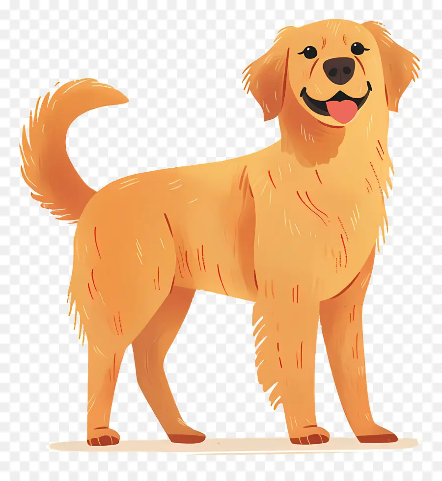 Perro Perro Perdiguero De Oro，Perro Dorado PNG