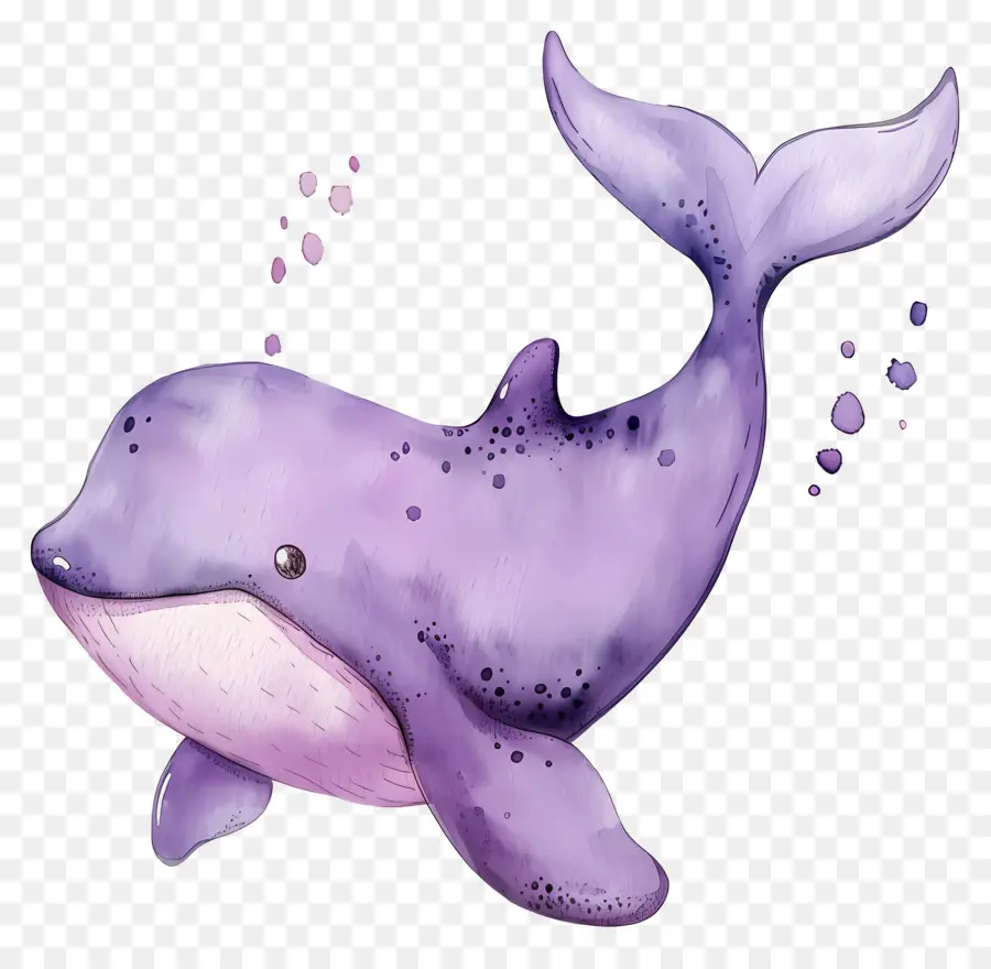 Ballena Acuarela，Ballena Morada PNG