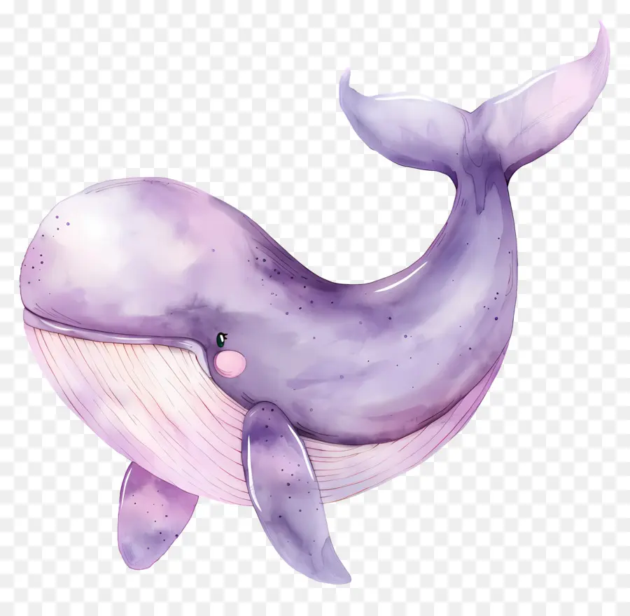 Ballena Acuarela，Ballena Morada PNG