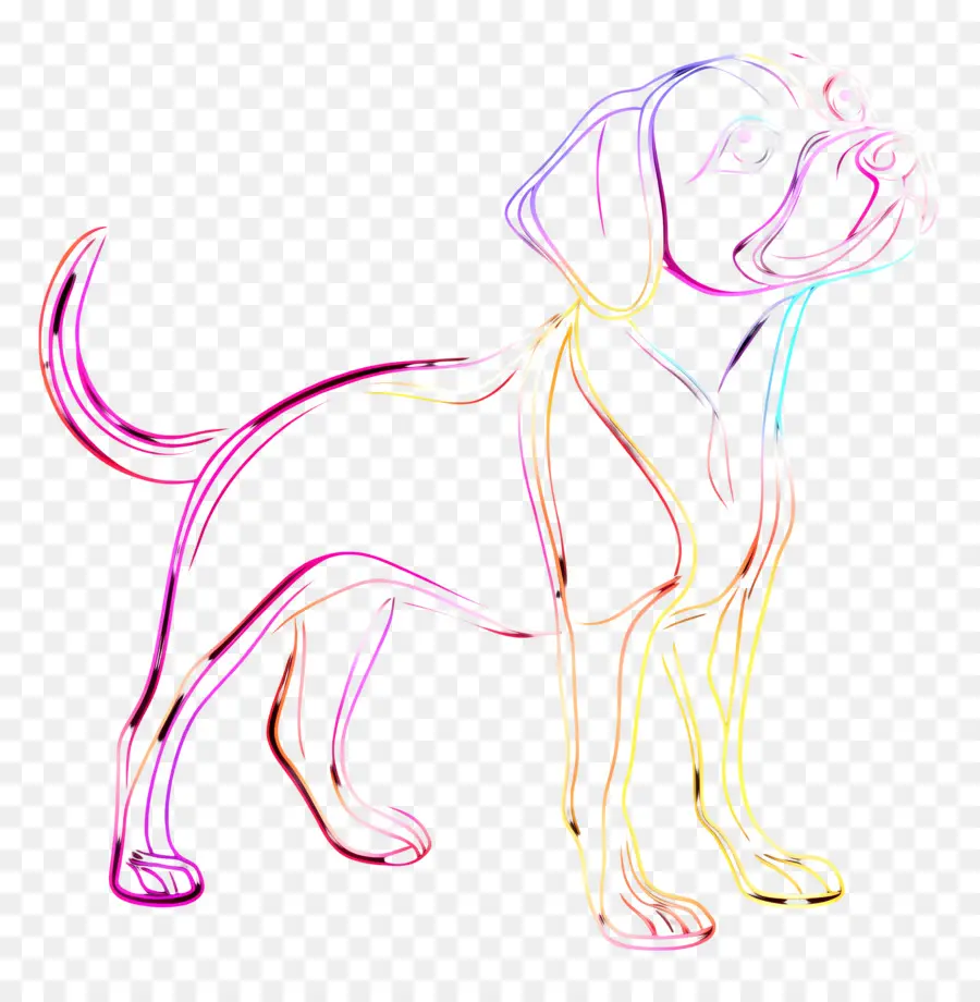 Linea De Neon，Perro Colorido PNG