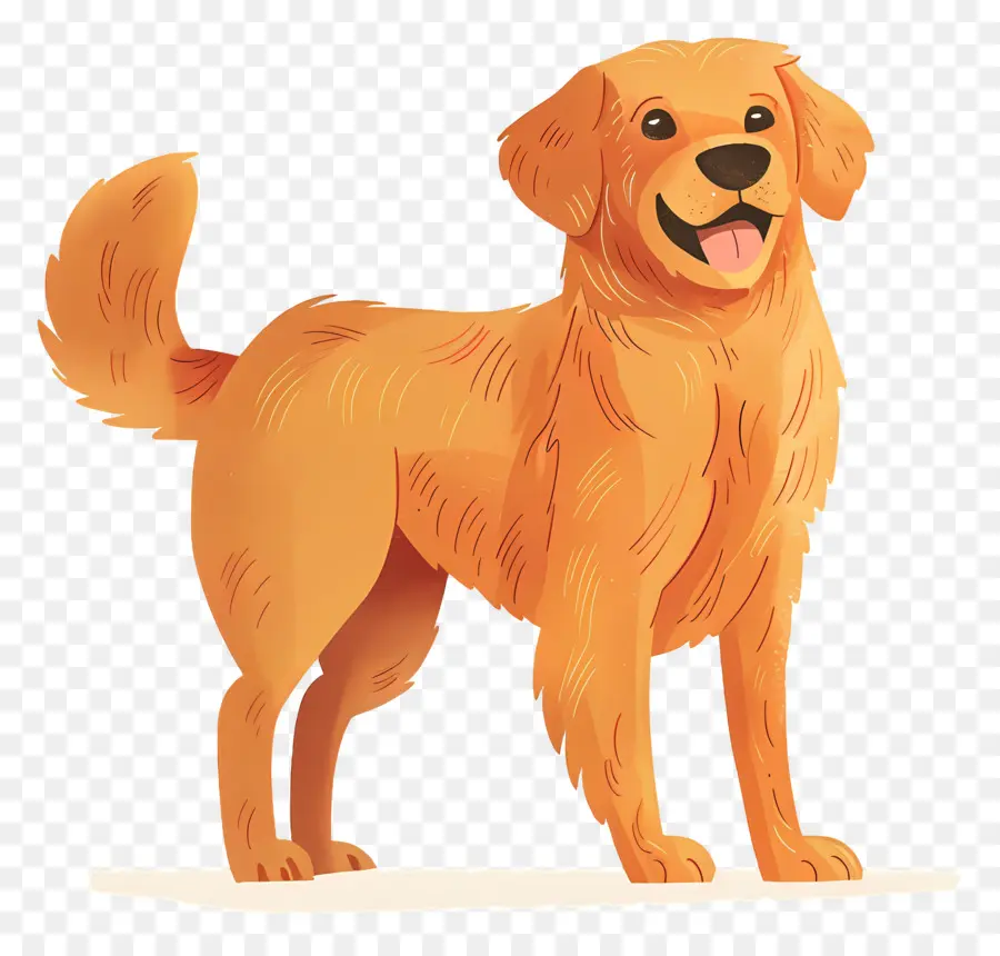 Perro Perro Perdiguero De Oro，Perro Perdiguero De Oro PNG