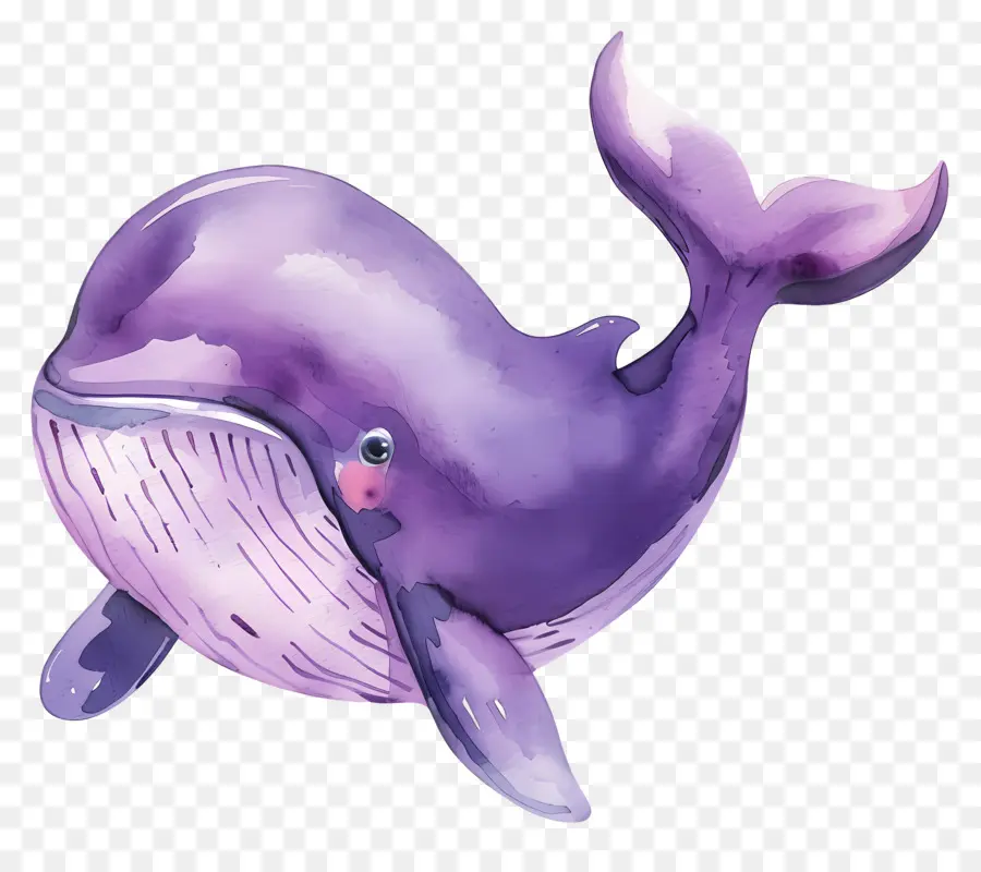 Ballena Acuarela，Ballena De Dibujos Animados PNG