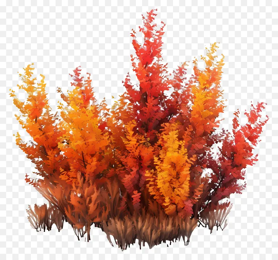 Arbustos De Otoño，Hojas PNG