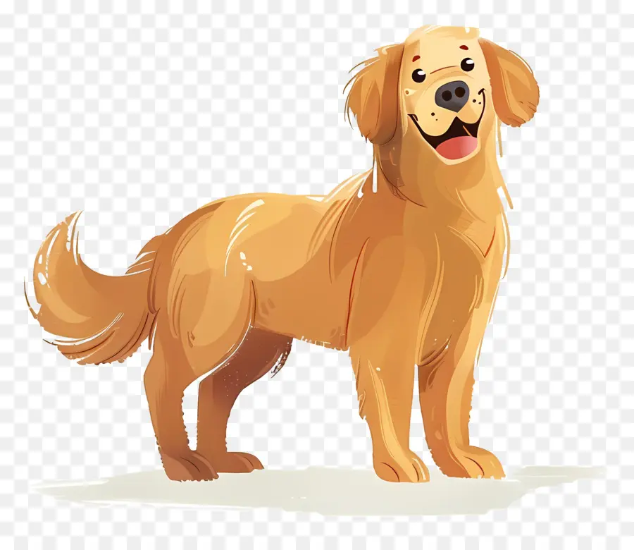 Perro Perro Perdiguero De Oro，Perro Perdiguero De Oro PNG