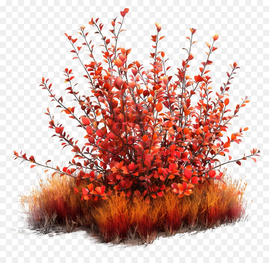 Arbustos De Otoño，Arbusto Rojo PNG