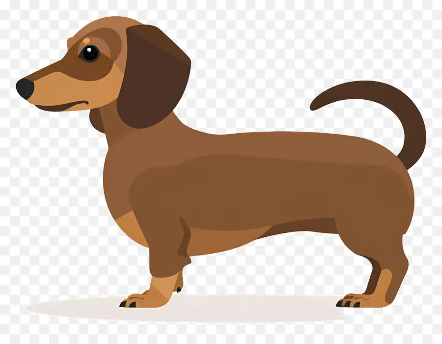 Perro Animado，Perro De Dibujos Animados PNG