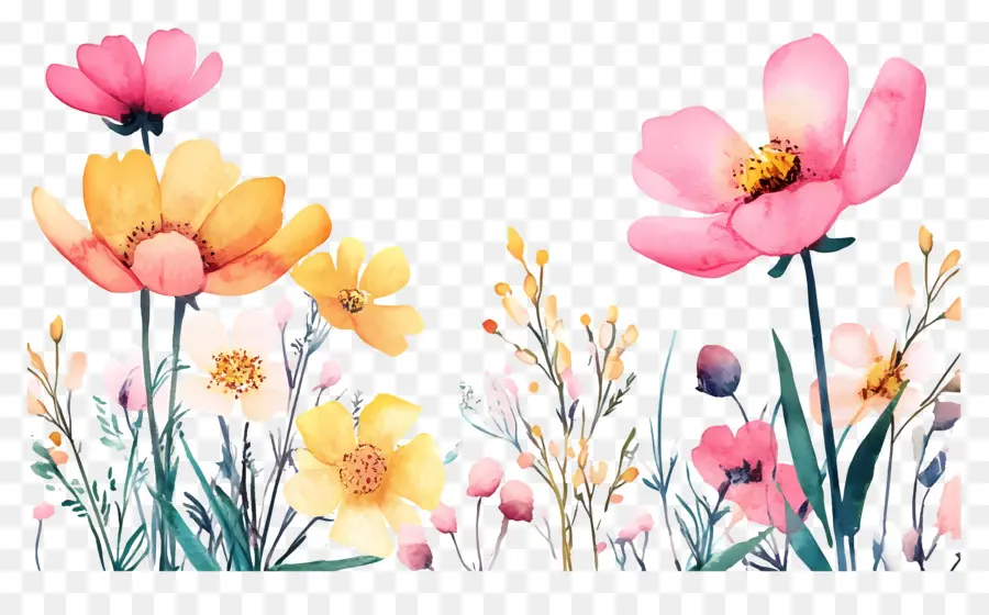 Borde De Flores，Flores Coloridas PNG