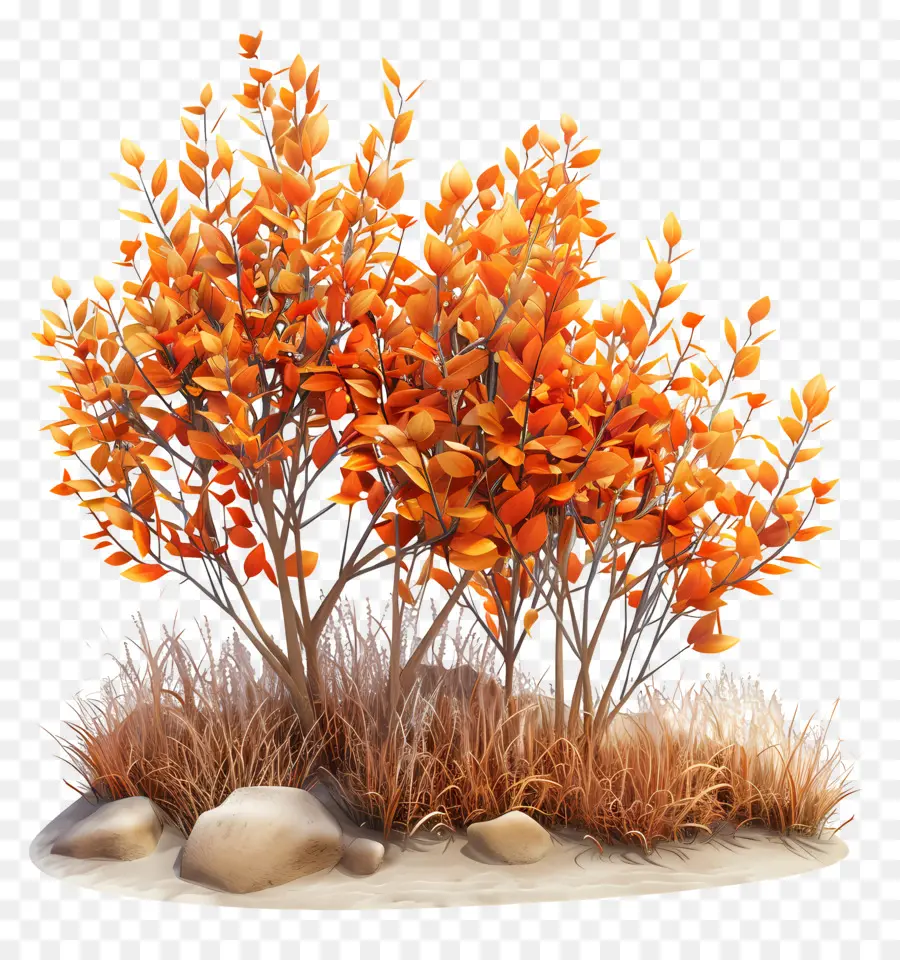 Arbustos De Otoño，Arbustos De Otoño Con Rocas PNG