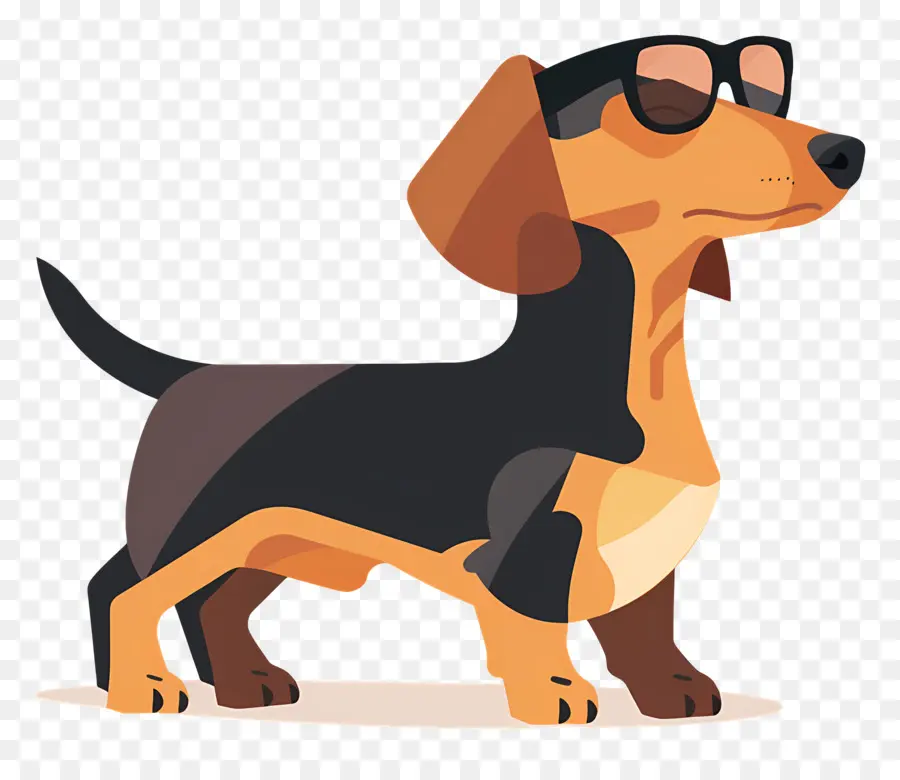 Perro Animado，Perro Con Gafas De Sol PNG