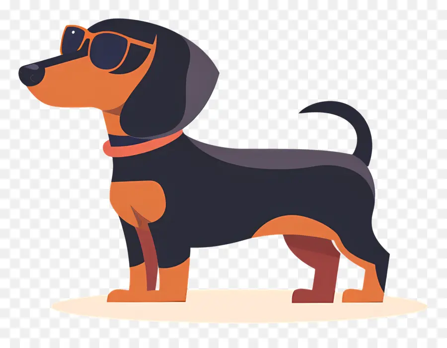 Perro Animado，Perro Con Gafas De Sol PNG