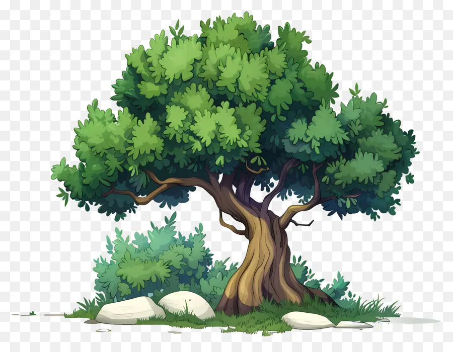 Secoya，Árbol PNG