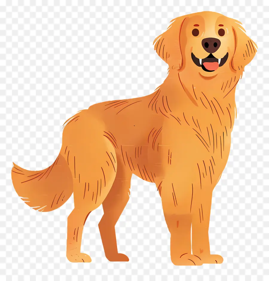 Perro Perro Perdiguero De Oro，Perro Perdiguero De Oro PNG