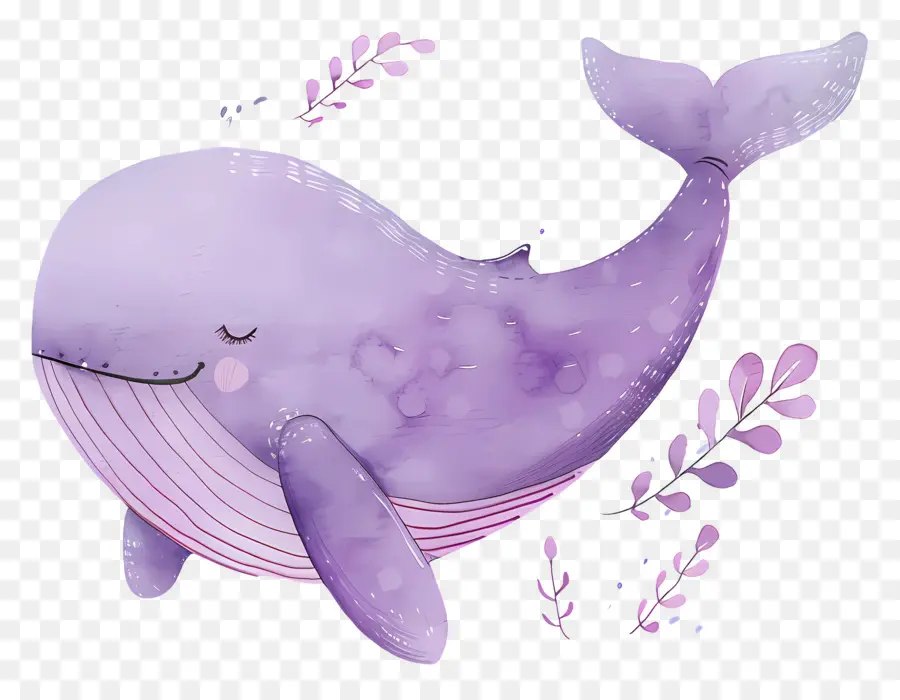 Ballena Acuarela，Ballena De Dibujos Animados PNG