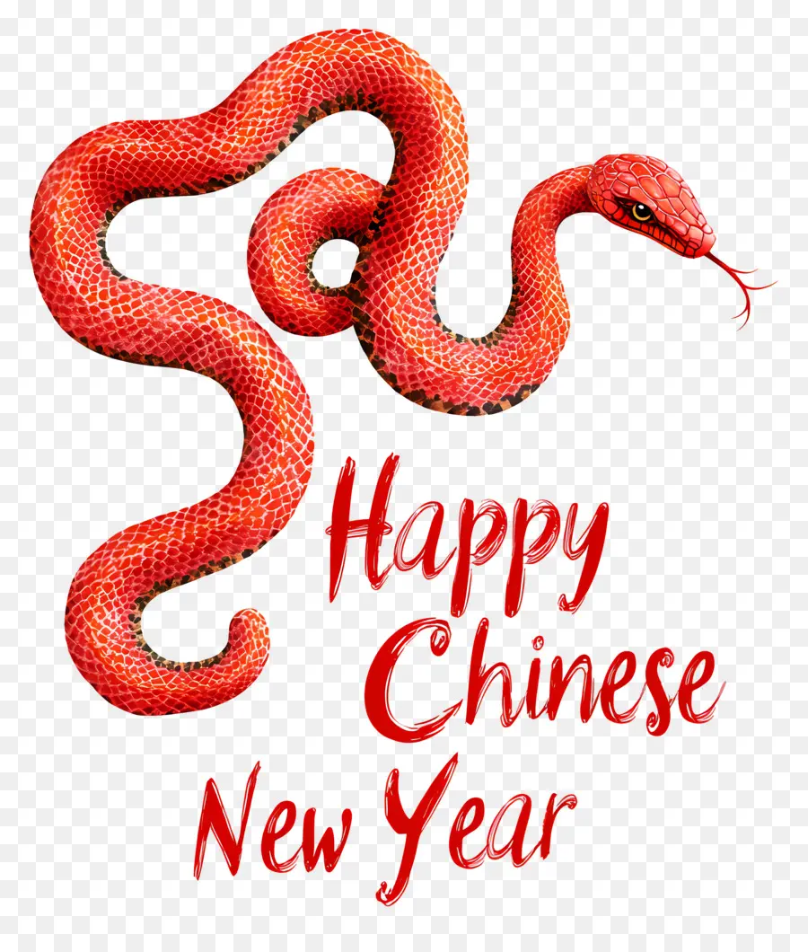 Año Nuevo Chino，Serpiente Roja PNG