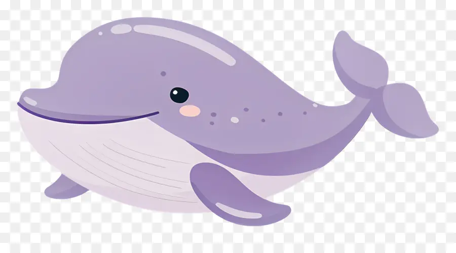 Ballena Acuarela，Ballena PNG