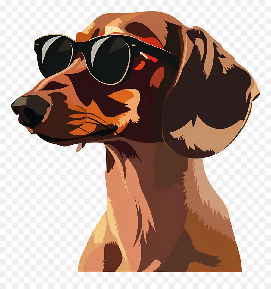 Perro Animado，Perro Con Gafas De Sol PNG