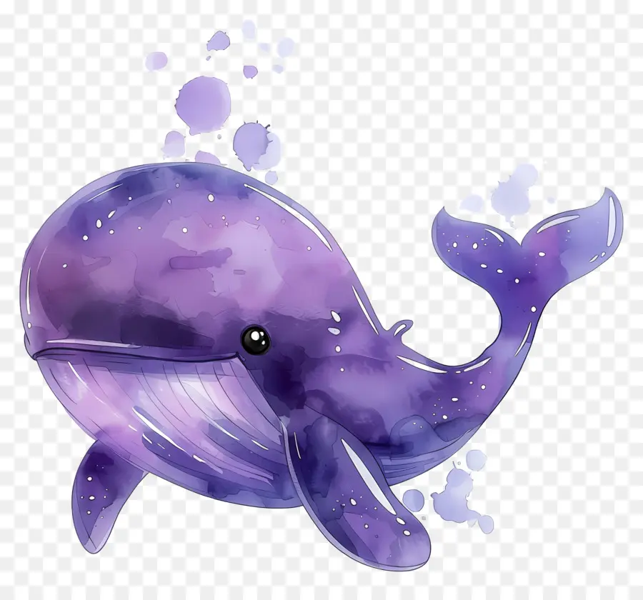 Ballena Acuarela，Ballena Morada PNG