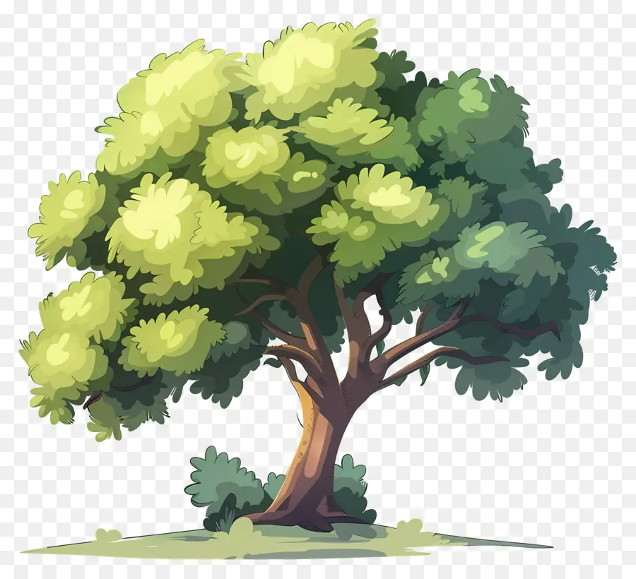 Secoya，Árbol PNG