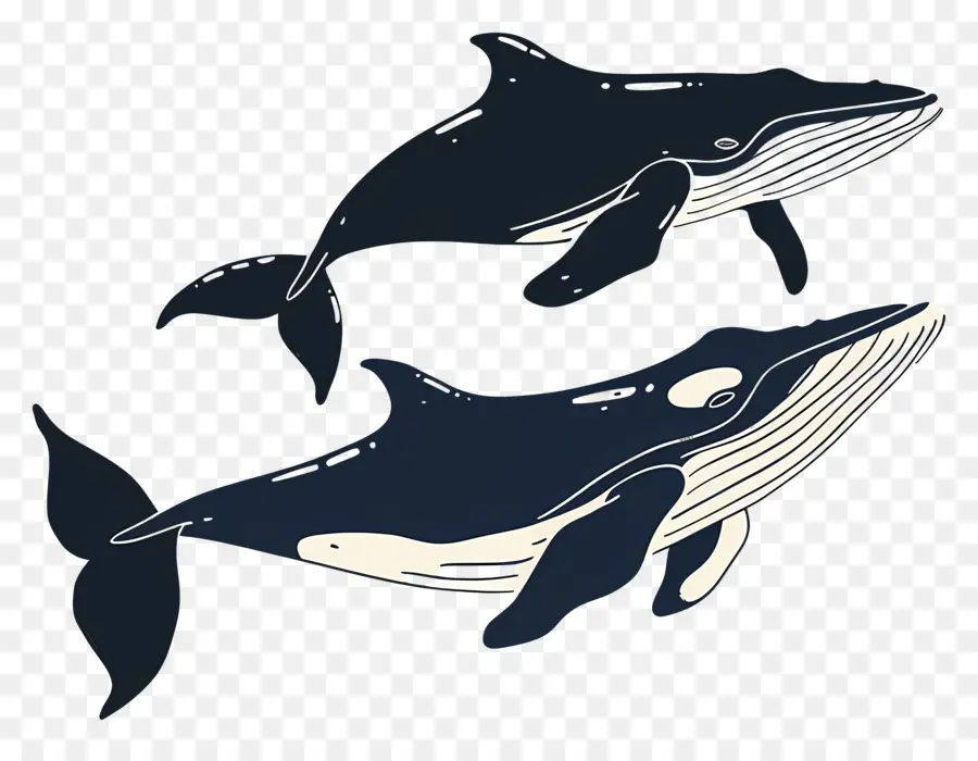 Linda Ballena，Ballenas PNG