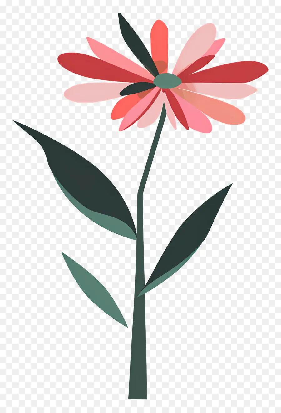 Flor única，Margarita Sencilla PNG