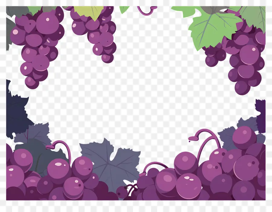 Frontera De Uva，Uvas PNG