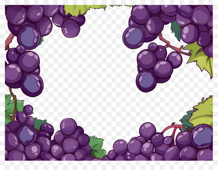 Frontera De Uva，Uvas PNG