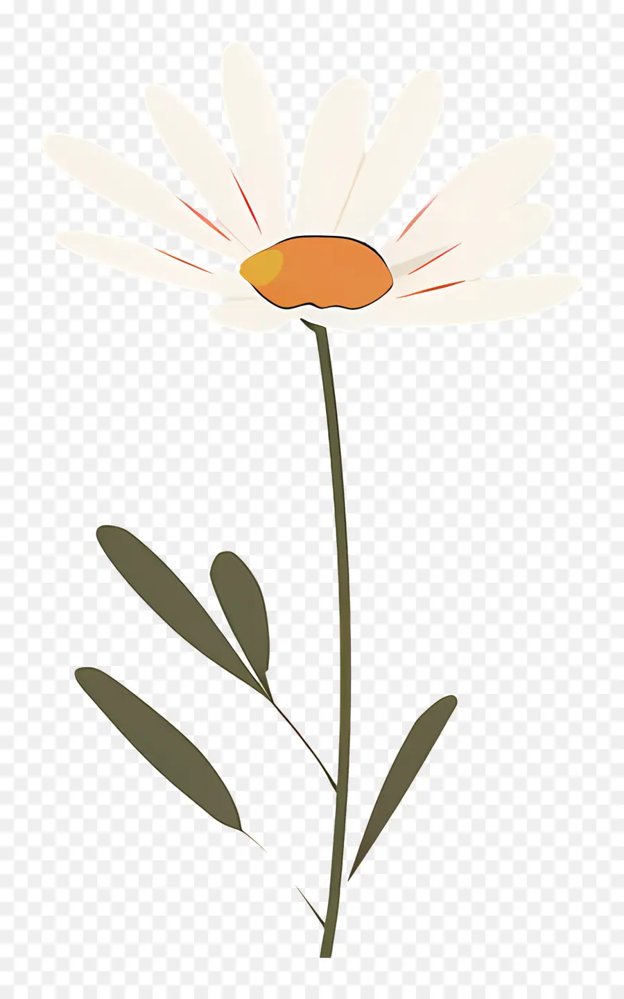 Flor única，Margarita Sencilla PNG