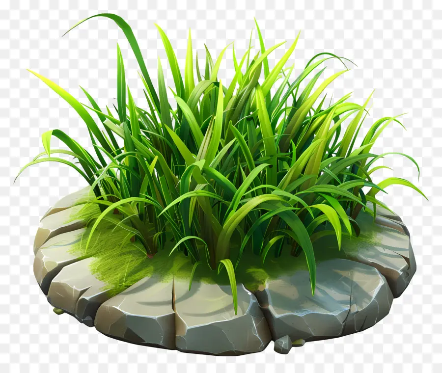 Planta De Hierba，Parche De Hierba PNG