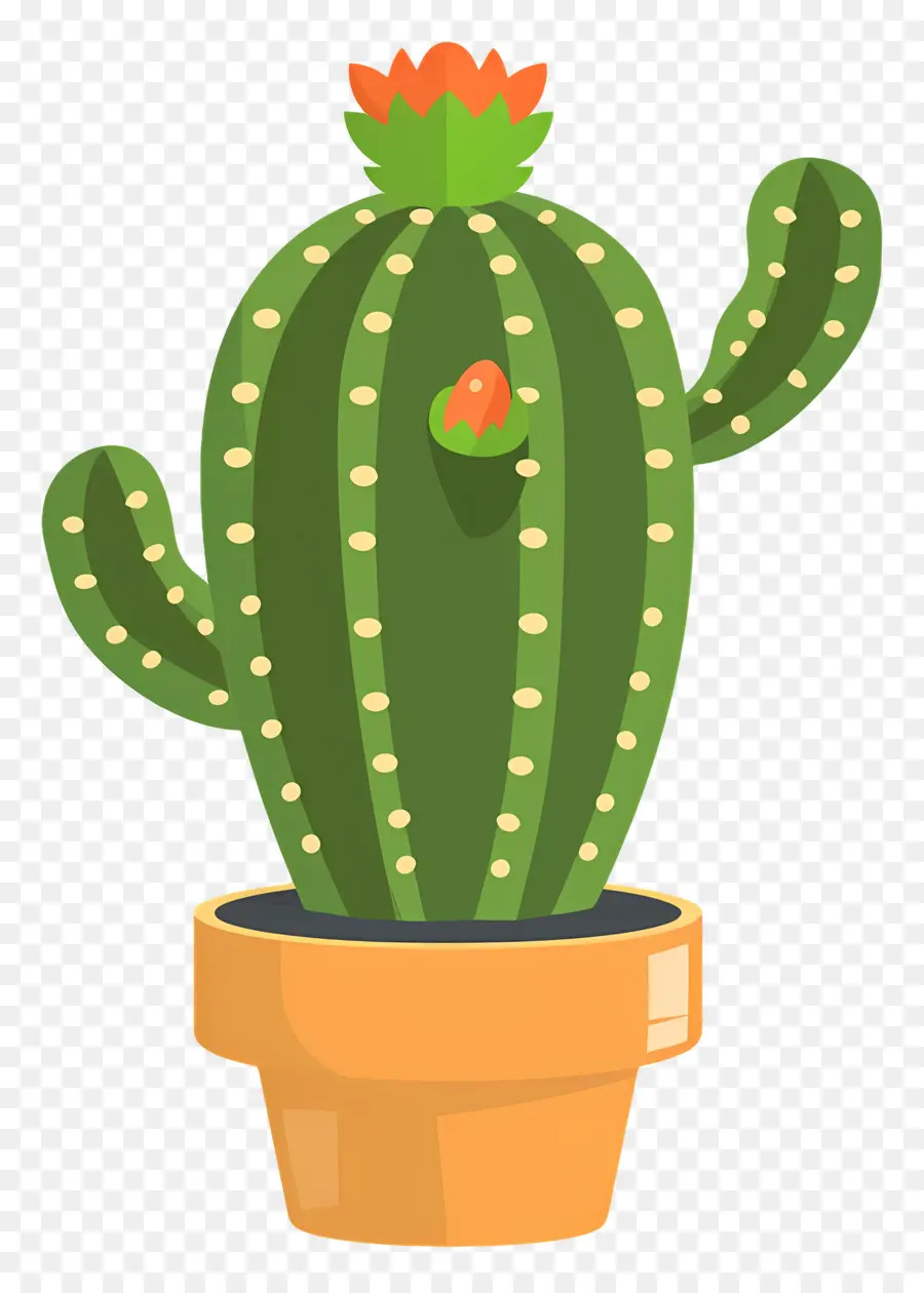 Cactus Verde，Cactus PNG