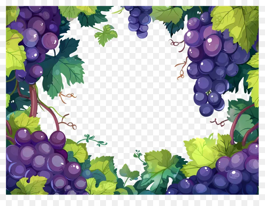 Frontera De Uva，Uvas PNG