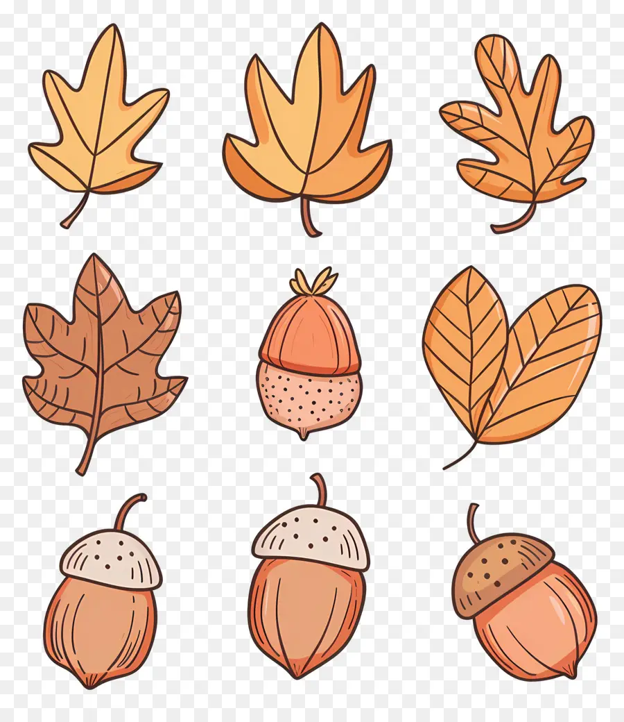 Hojas De Otoño，Hojas De Otoño Y Bellotas PNG